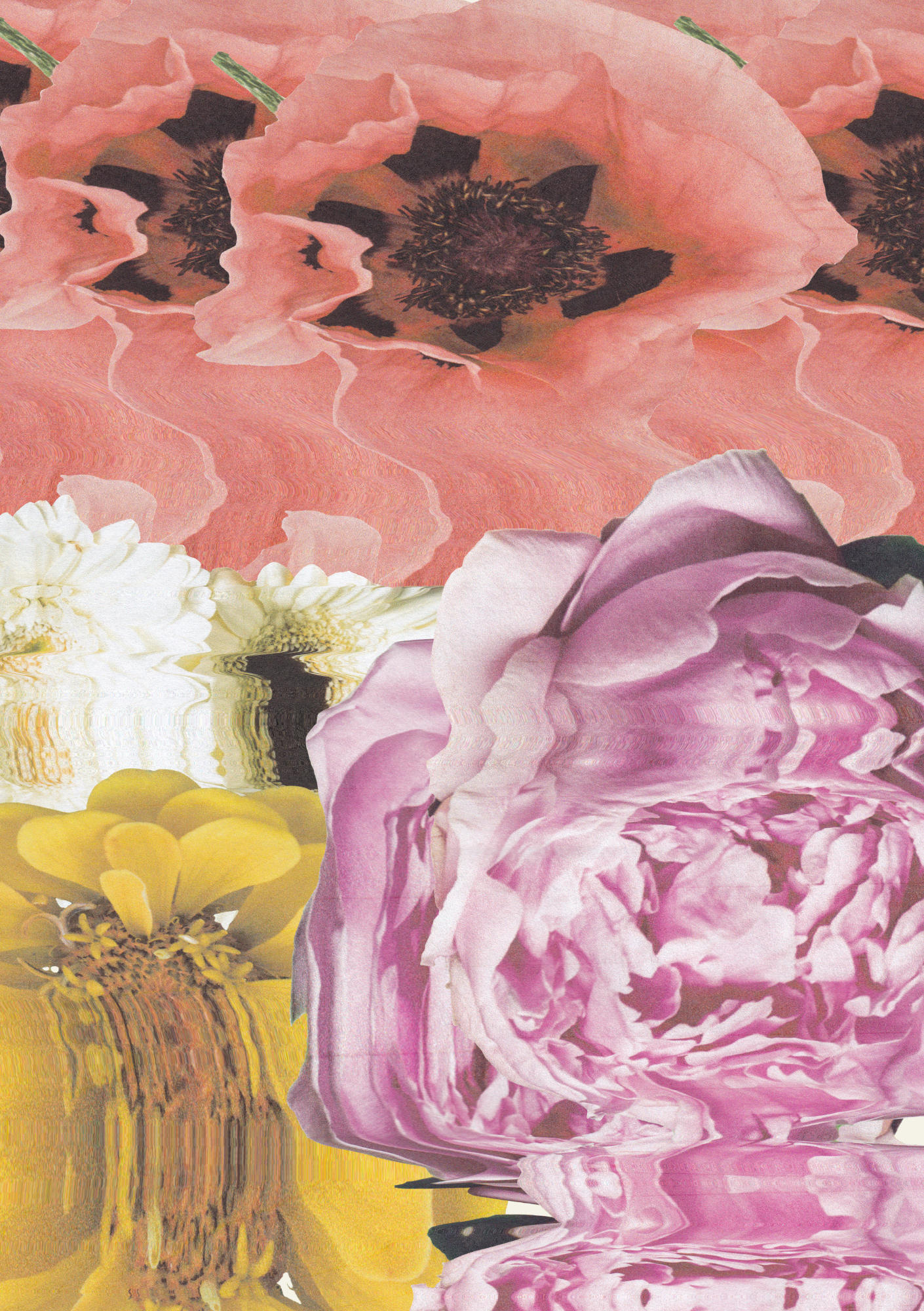 Flower Power Paper Pack