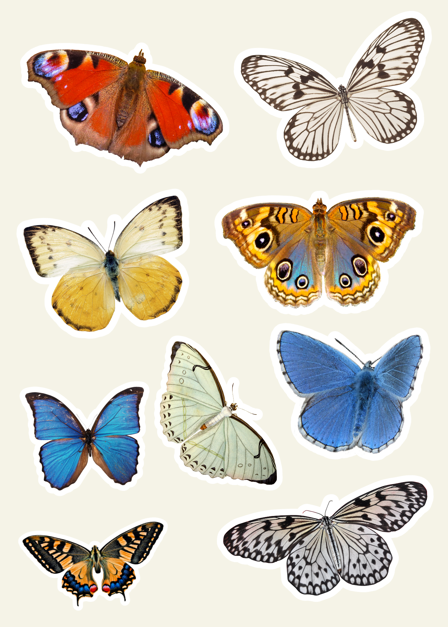 Butterfly Sticker Sheet – Clutter Co